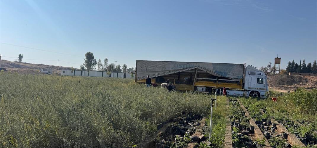 ‘Şanlıurfa ve Kahramanmaraş’ın Meraları Mardin’de Yetiştirilen Fidanlarla Hayat Buluyor’