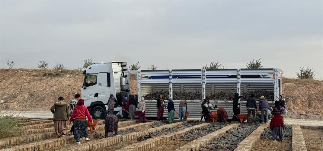 MARDİN’İN TUZ ÇALISI DEPREMDE ZARAR GÖREN İLLERİMİZİN MERALARINI CANLANDIRIYOR