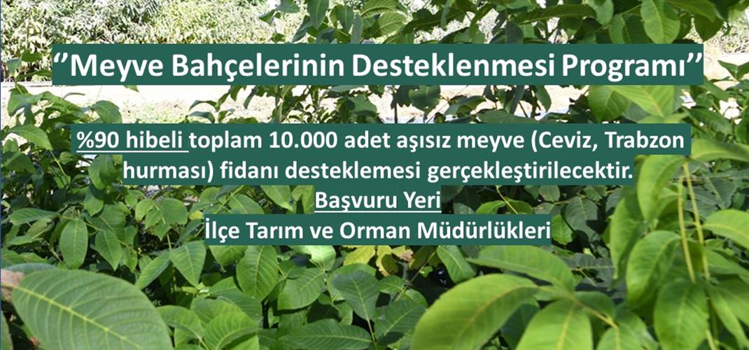 MARDİN'DE ÜRETİCİYE CAN SUYU: 10.000 ADET FİDAN TOPRAKLA BULUŞACAK